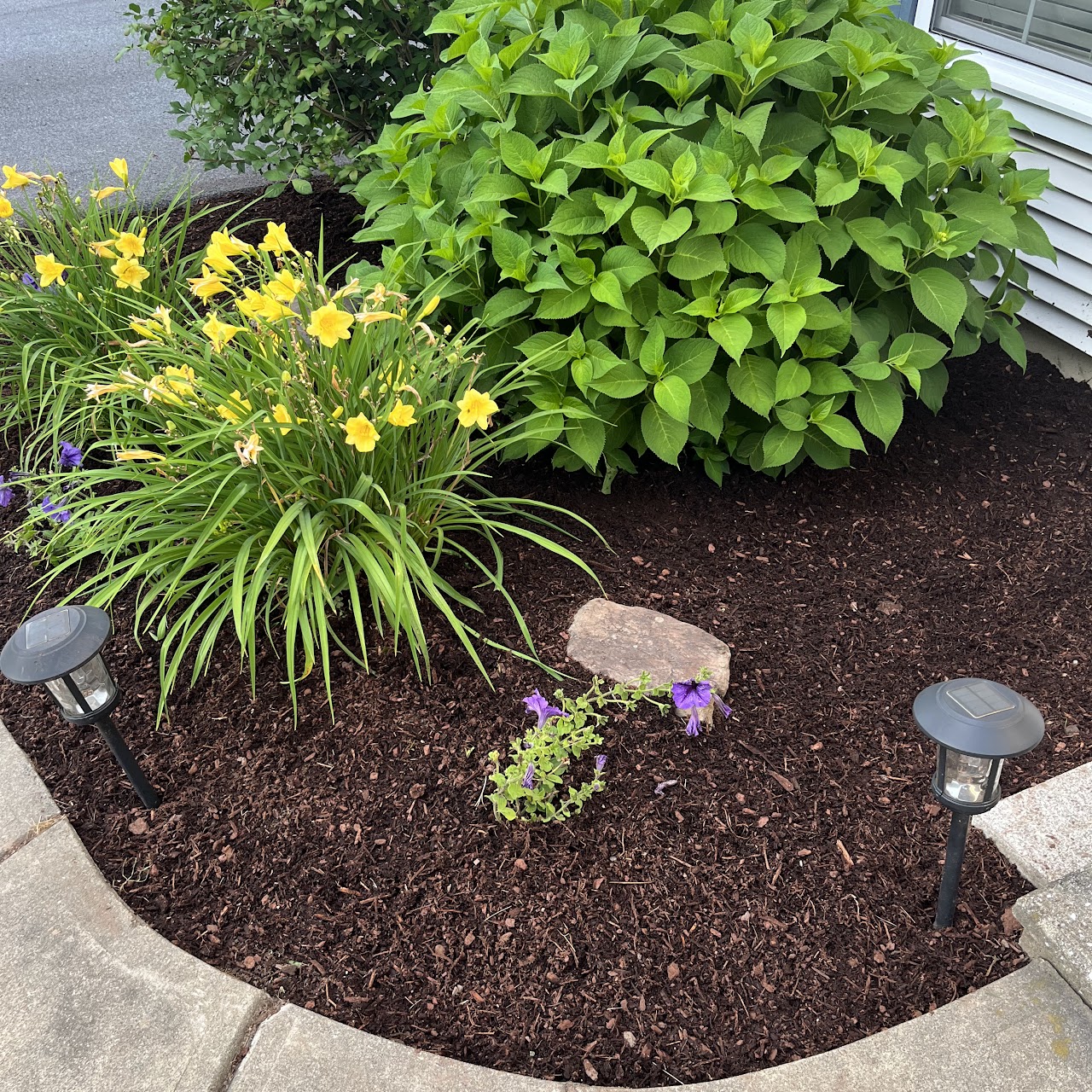Clean mulched garden bed after service