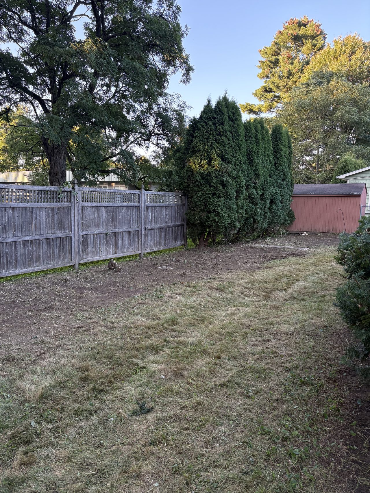 Cleared, mowed side yard along a fence line after brush clearing