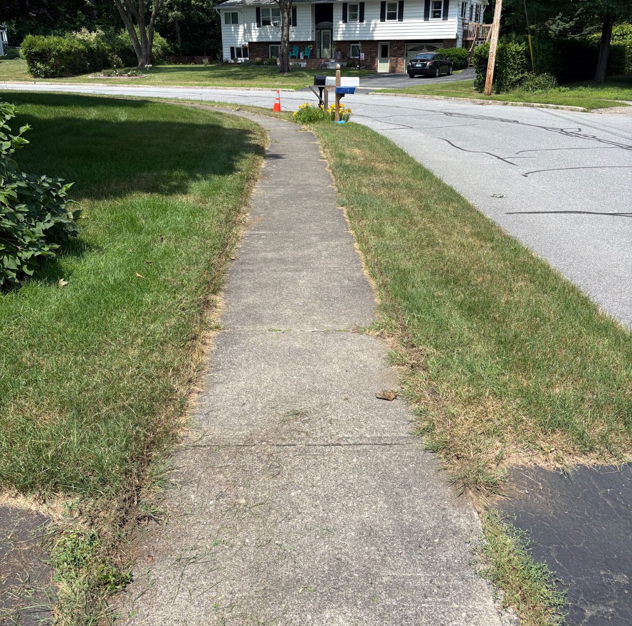 Overgrown sidewalk edge before trimming