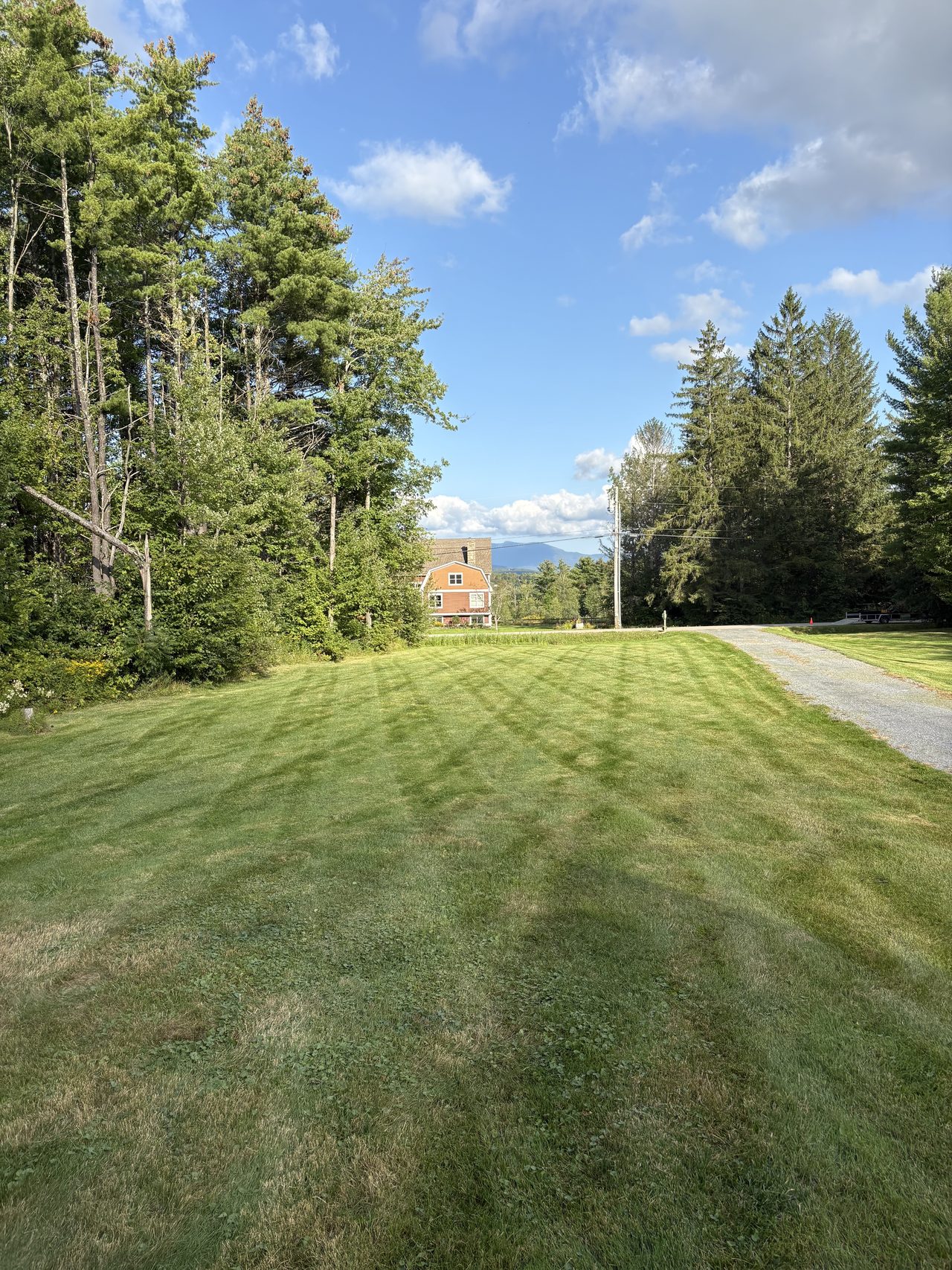 Healthy crosshatch-striped lawn beside a gravel driveway with a mountain in the distance