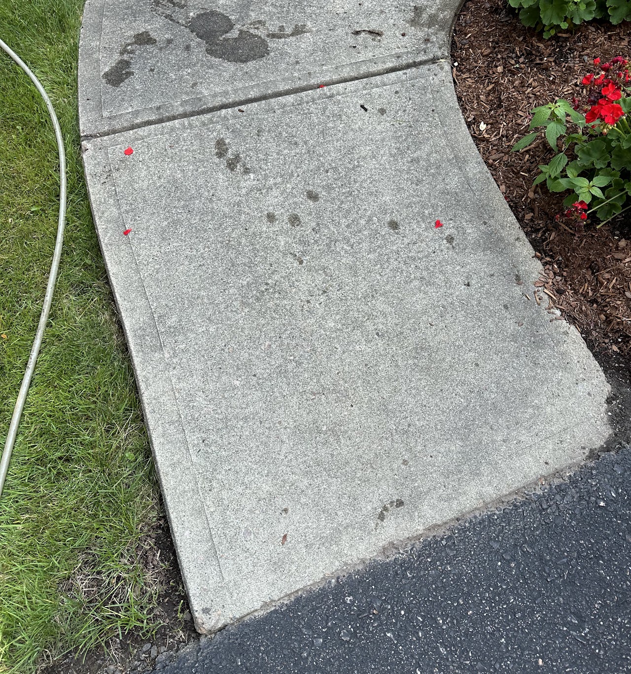 Stained concrete walkway before pressure washing